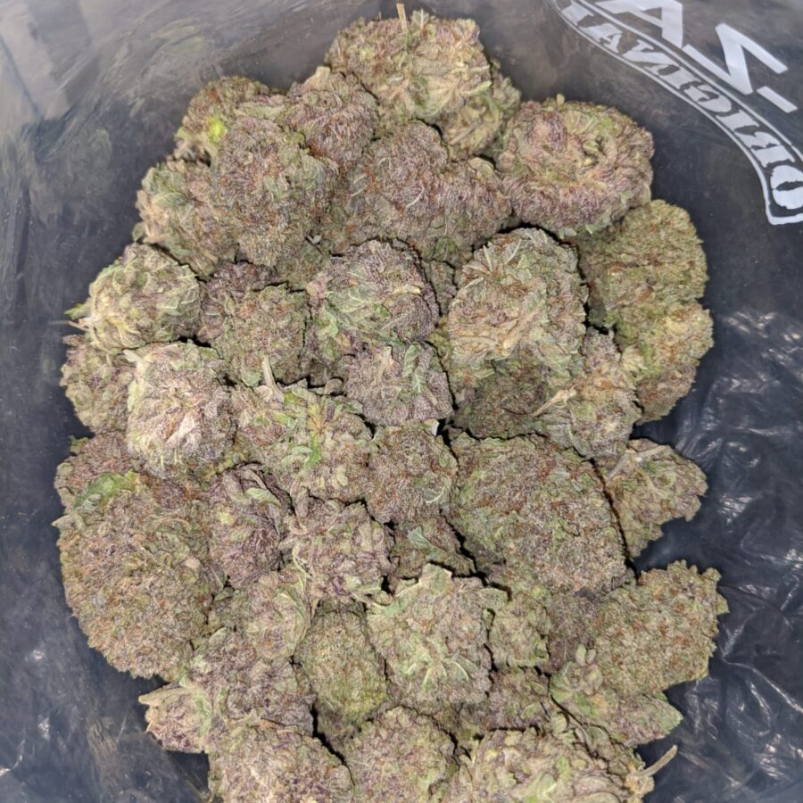 purple mamba aaa 4 I Purple Mamba AAA