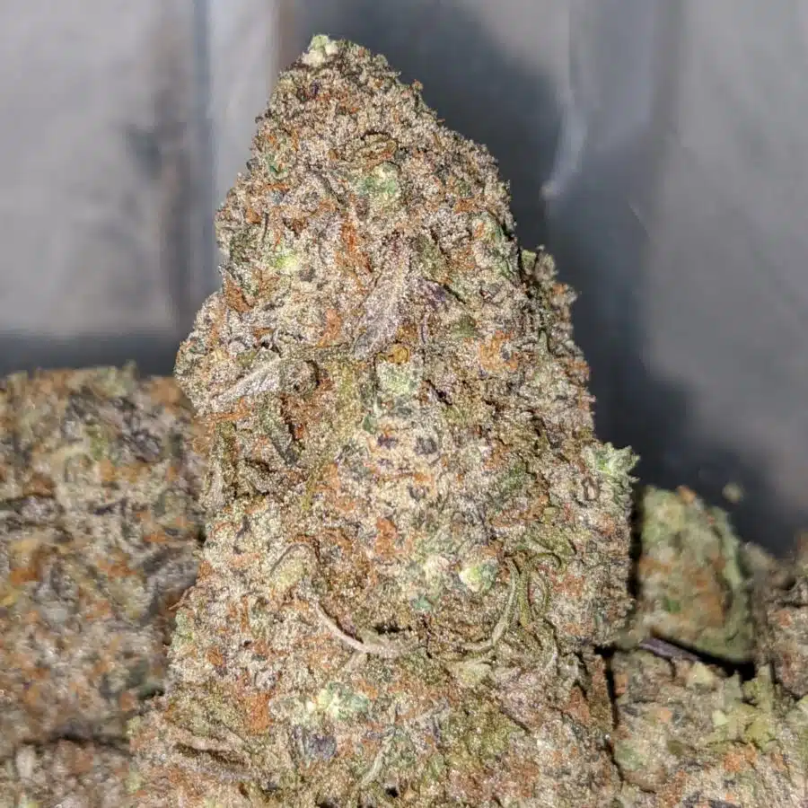 purple nuken 2 I Select Purple Nuken