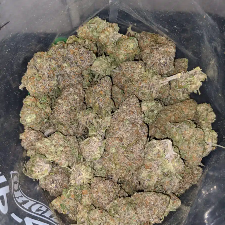 purple nuken 3 I Select Purple Nuken