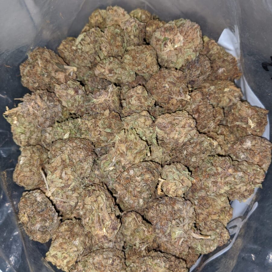 purple widow aa 3 I Purple Widow AA+