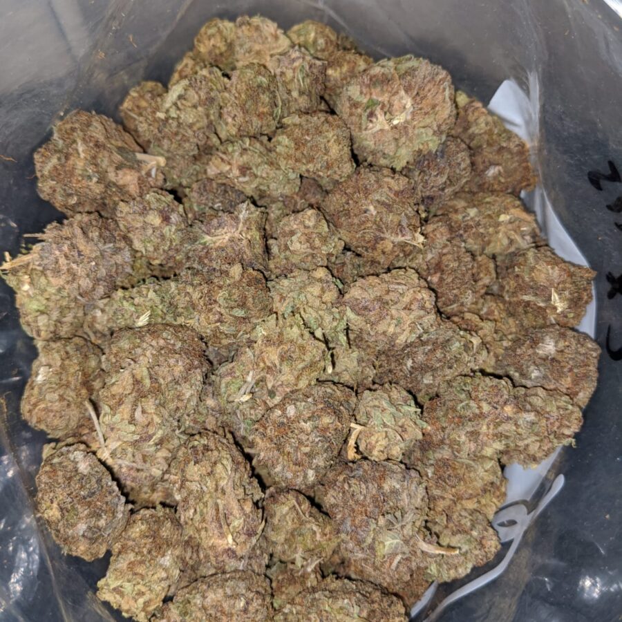 purple widow aa 4 I Purple Widow AA+