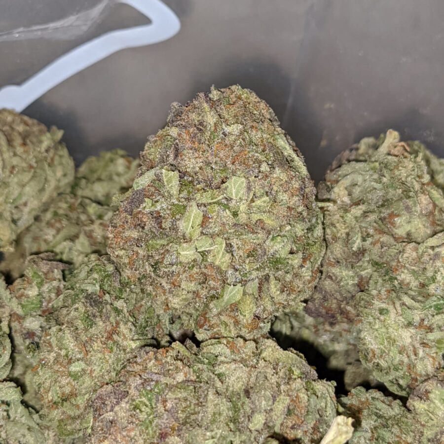 Purple Widow - *Deal Of The Day* - Image 6