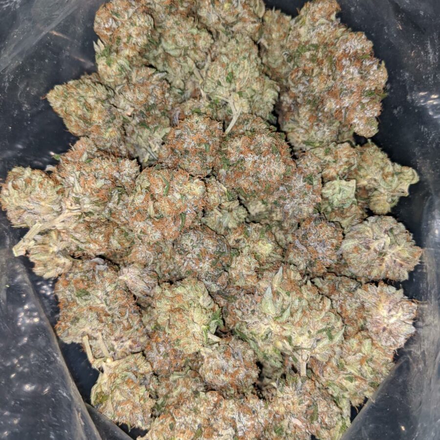 rockstar masterkush 2 I Master Rockstar Kush