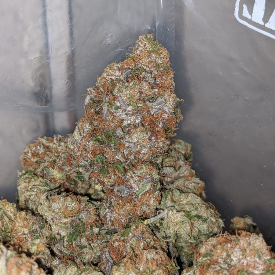 rockstar masterkush 3 I Master Rockstar Kush