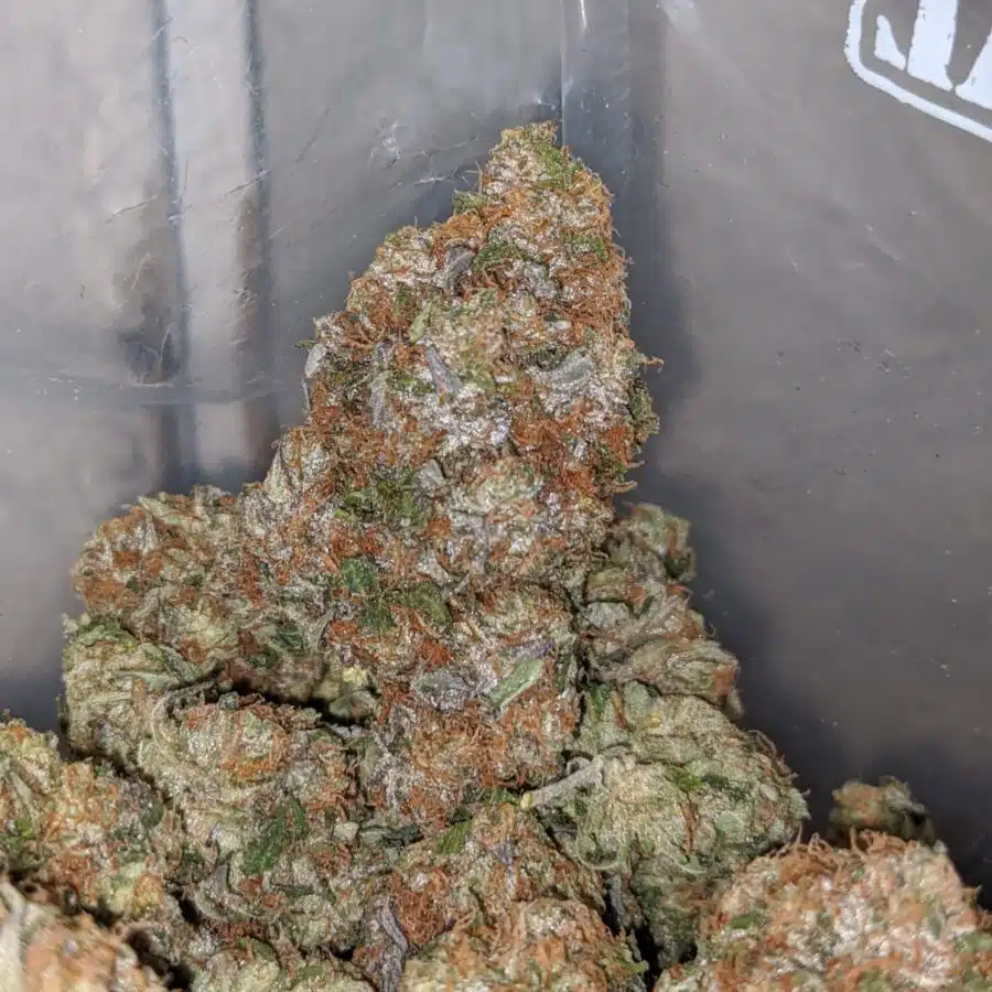 rockstar masterkush 3 I Master Rockstar Kush
