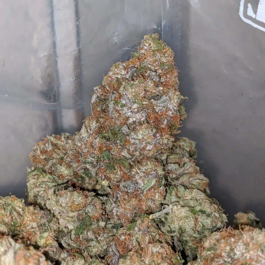 rockstar masterkush 4 I Master Rockstar Kush