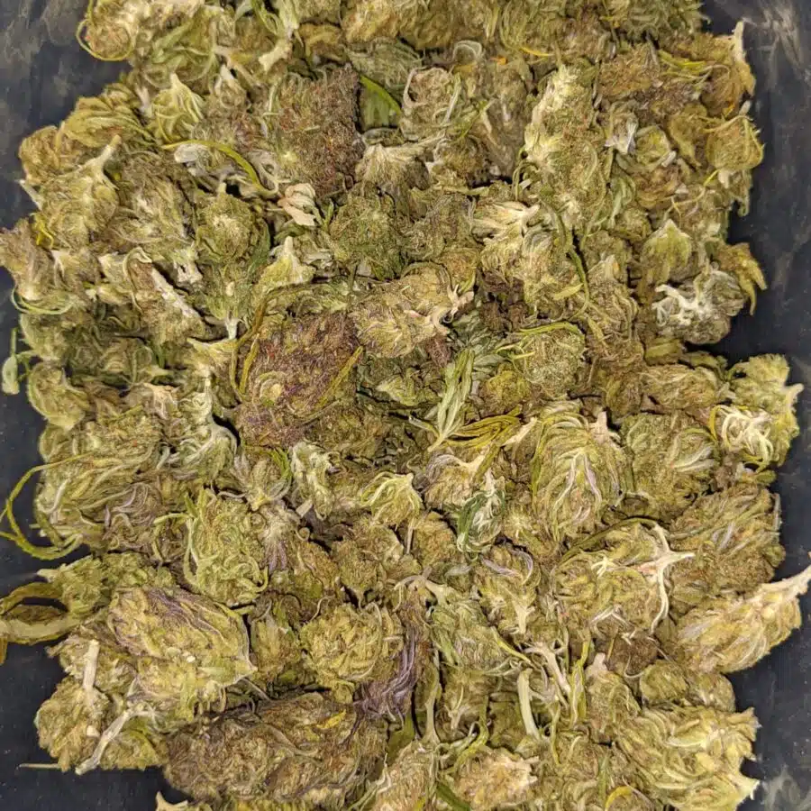 thai haze bulk special 2 I $ 32 Oz - Thai Haze