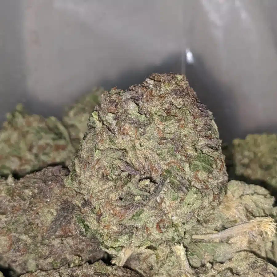 tropical punch dod 1 I $59oz - Tropical Sunset
