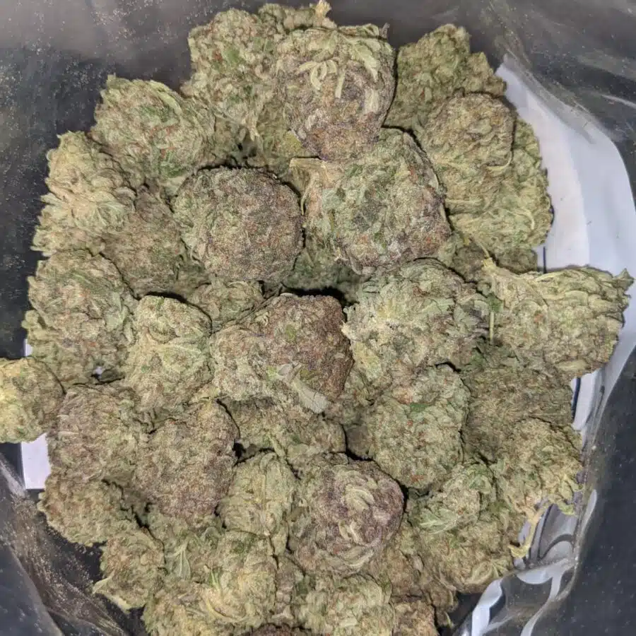 tropical punch dod 2 I $59oz - Tropical Sunset