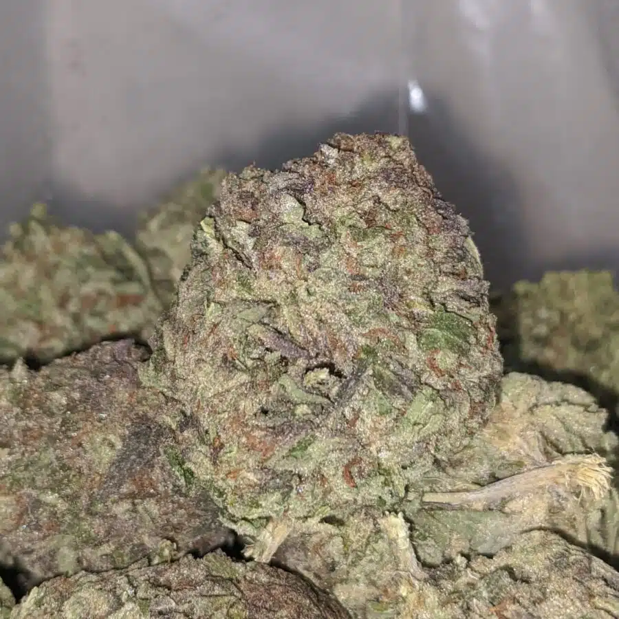 tropical punch dod 4 I $59oz - Tropical Sunset
