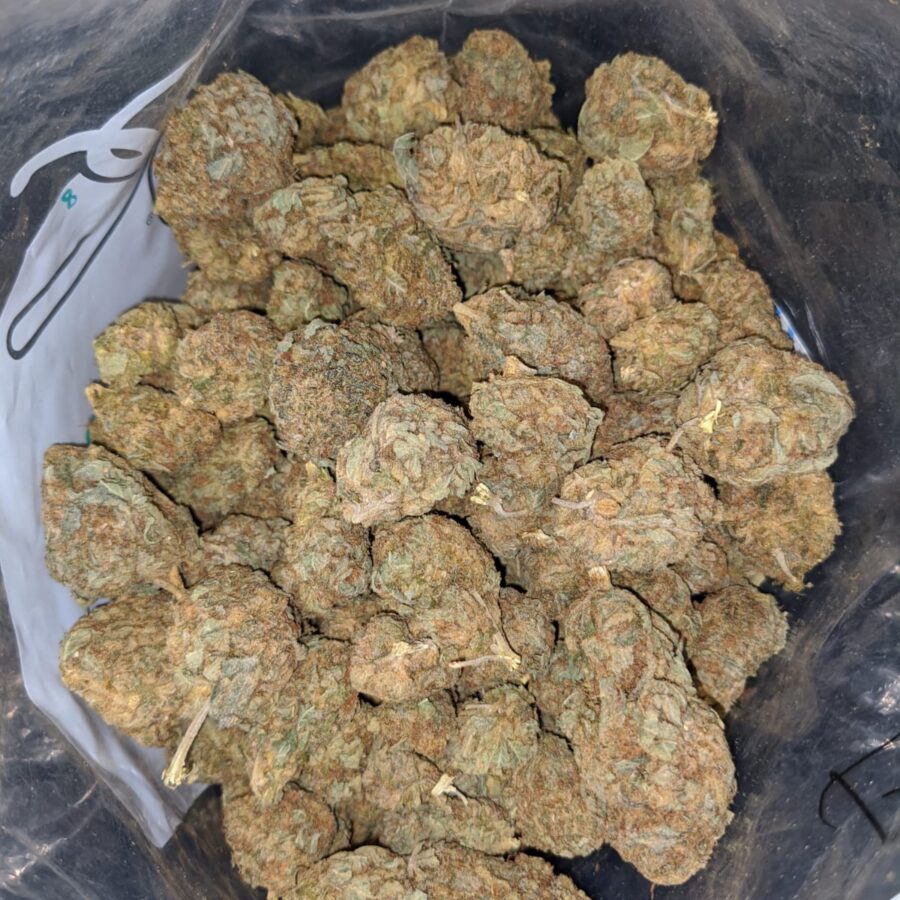 white widow aa 3 I White Widow AA+