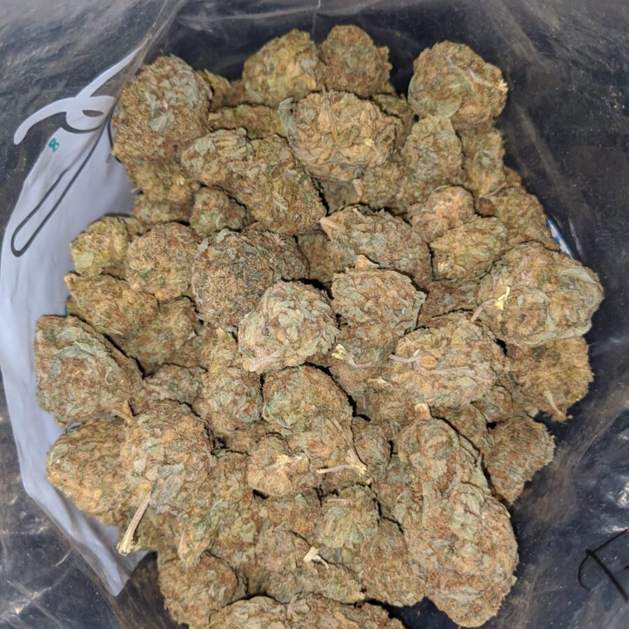 white widow aa 4 I White Widow AA+