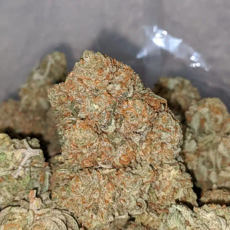 wtf kush aaa 1 I WTF Kush AAA
