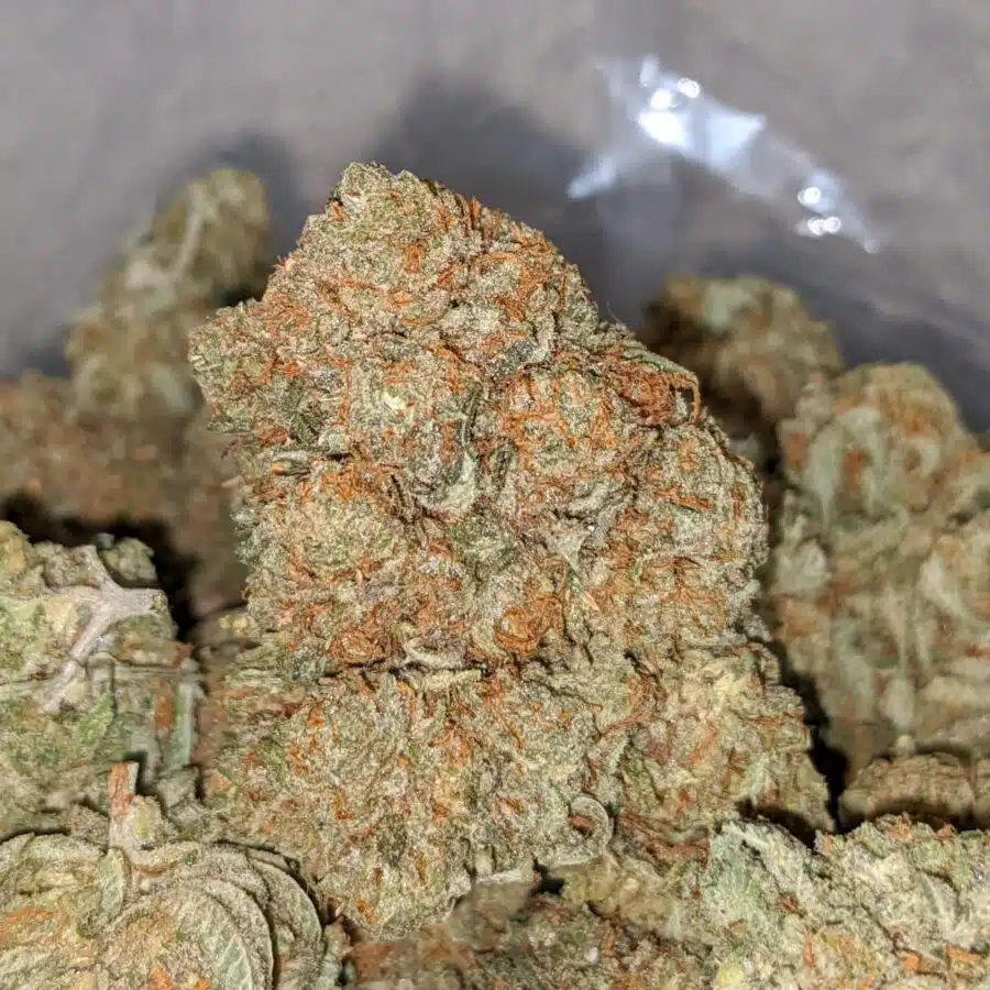 wtf kush aaa 2 I WTF Kush AAA
