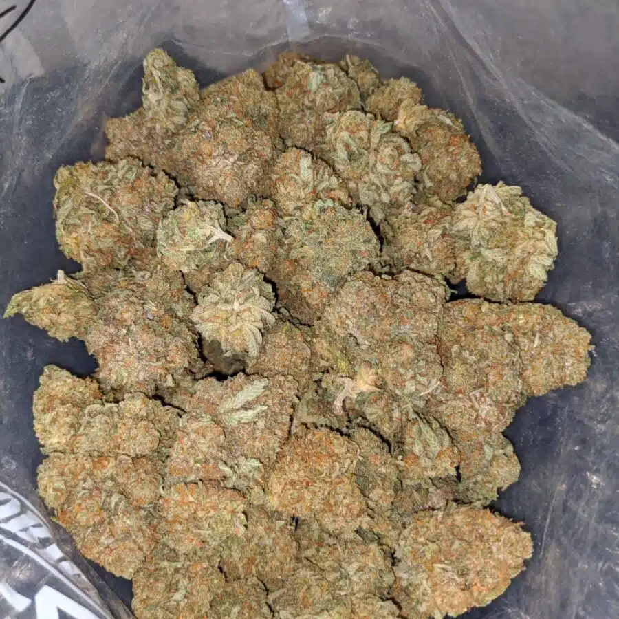 wtf kush aaa 3 I WTF Kush AAA