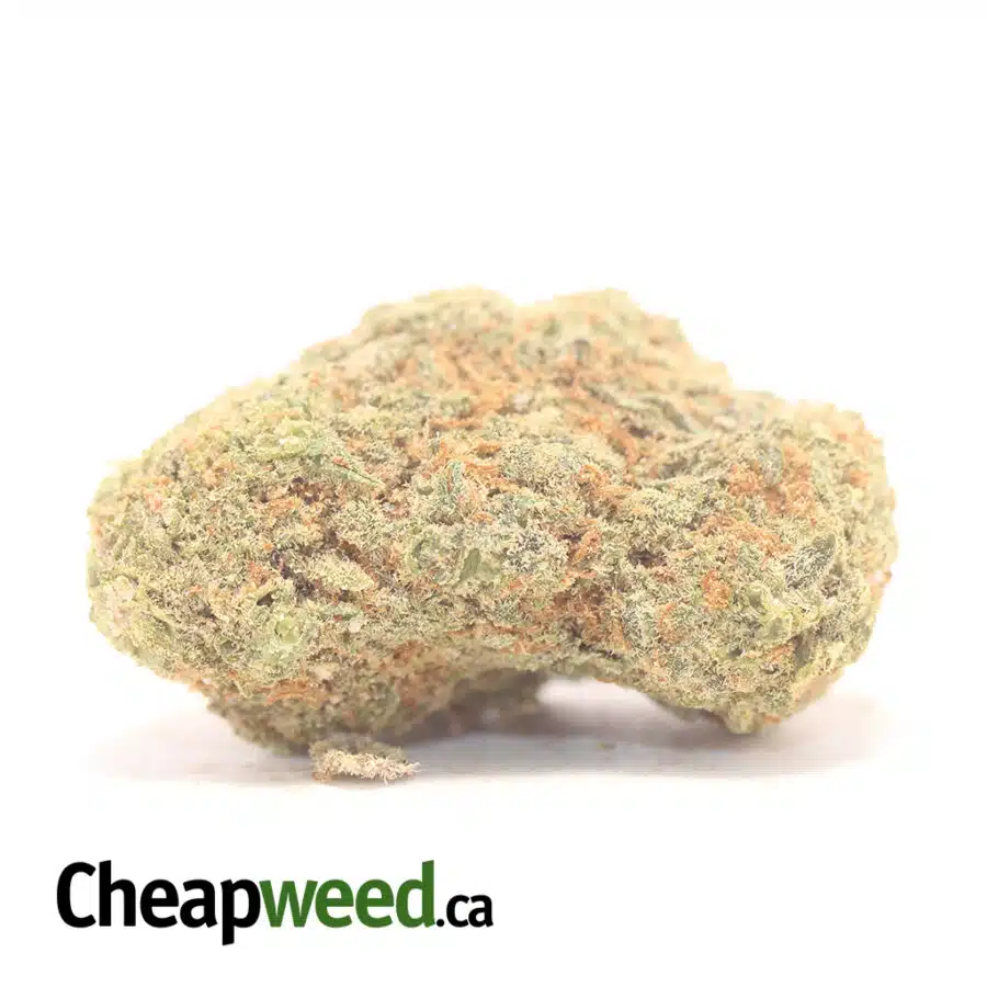 Super Pink - *Deal Of The Day*