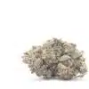 $79 OZ - Animal Bomb