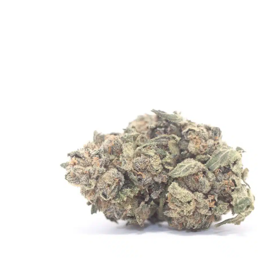 $79 OZ - Animal Bomb