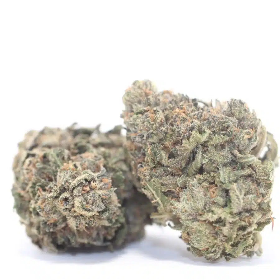 Alternative view of $79 OZ - Animal Bomb