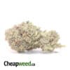 Astropink - *Deal Of The Day*