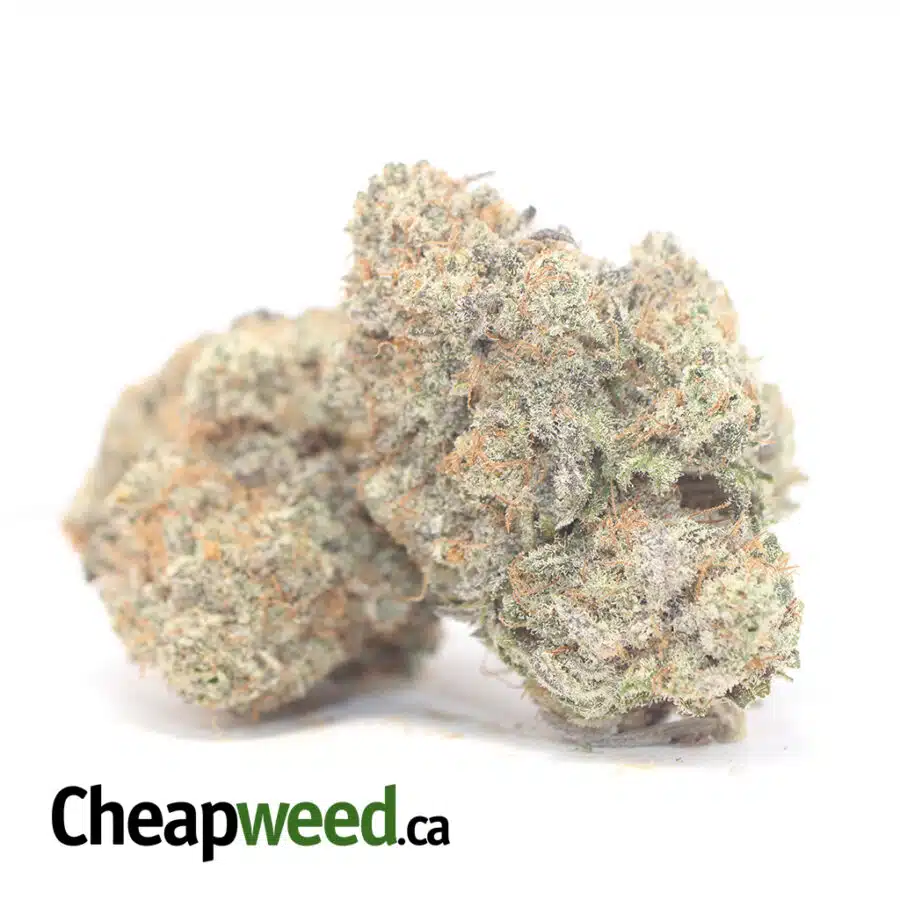 Alternative view of Blackberry X Dosi Pie