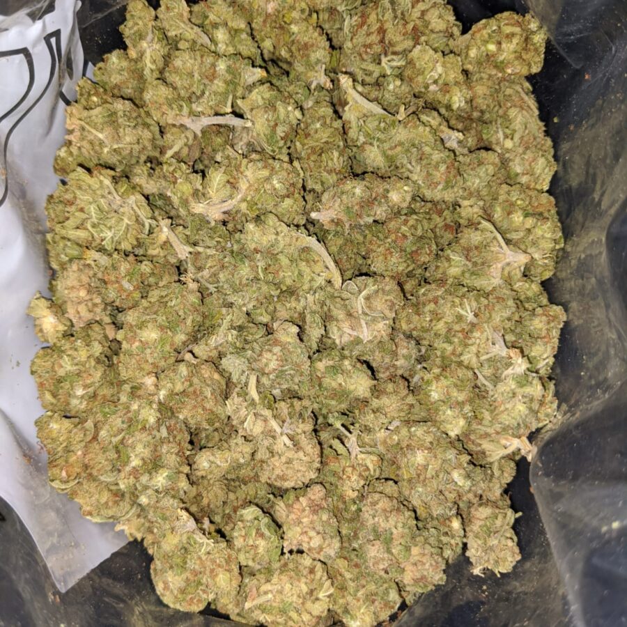 CHEAP INDICA TO LIMONCELLO BULK SPECIAL 2 I Limoncello Bulk Special