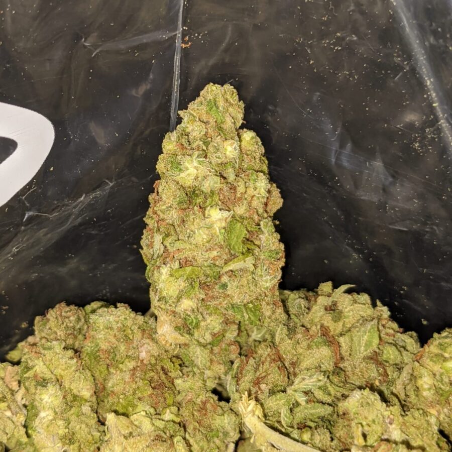 CHEAP INDICA TO LIMONCELLO BULK SPECIAL 4 I Limoncello Bulk Special