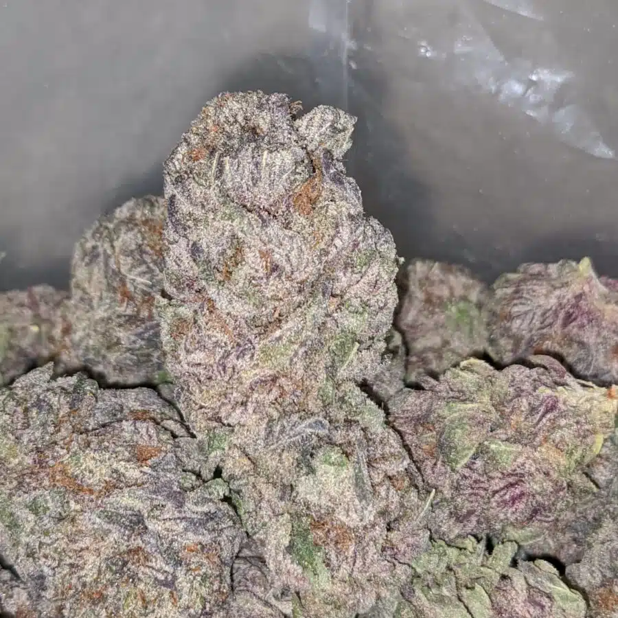 DURBAN POISON AAA 1 I Purple Diamond
