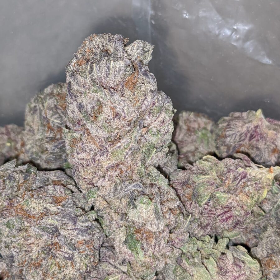 DURBAN POISON AAA 2 I Purple Diamond
