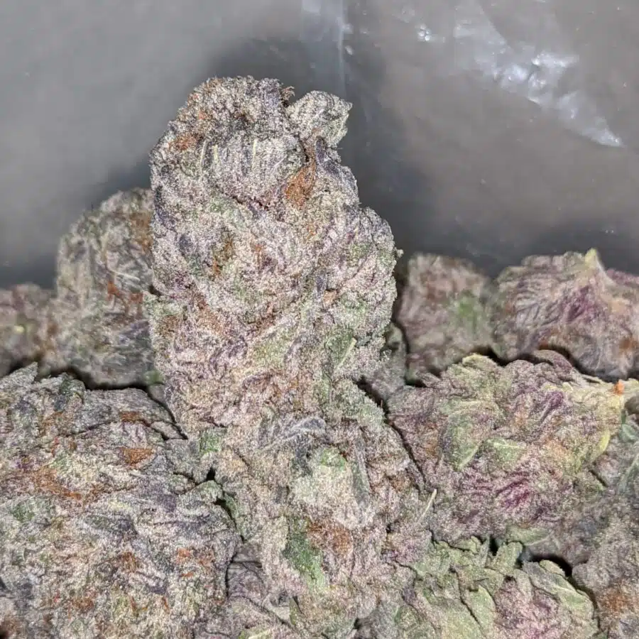 DURBAN POISON AAA 2 I Purple Diamond