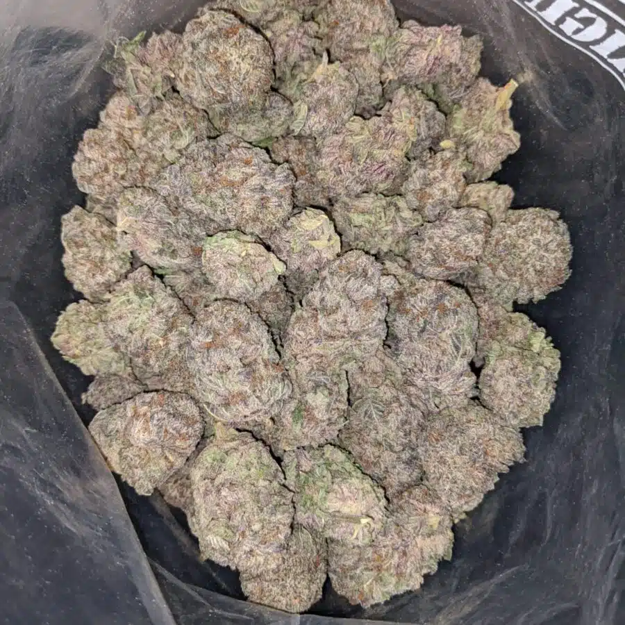 DURBAN POISON AAA 3 I Purple Diamond