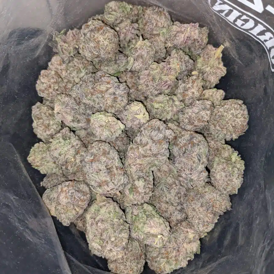 DURBAN POISON AAA 4 I Purple Diamond