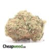 Ghost Bubba Bulk Special