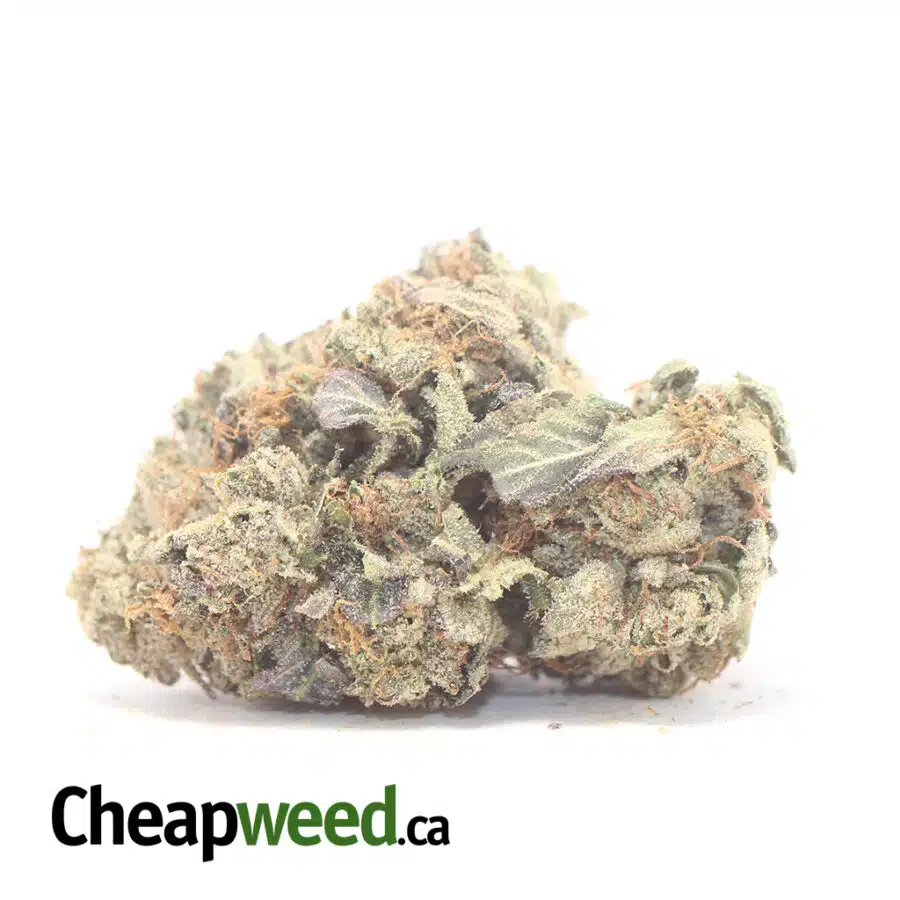 Ghost Wreck - *Deal Of The Day*