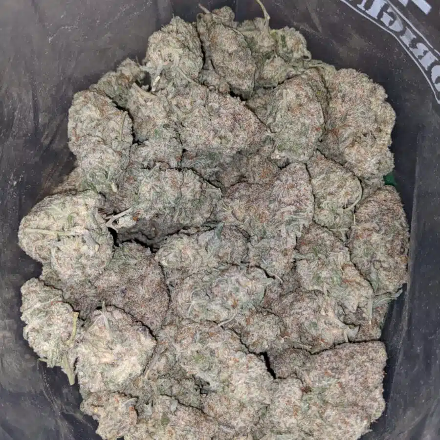 GMO COOKIES 1 I $69 Oz - GMO Cookies