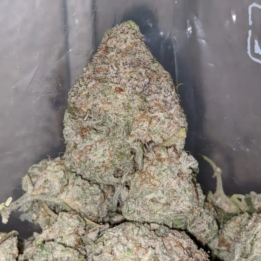 GMO COOKIES 3 I $69 Oz - GMO Cookies