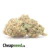 Jedi Kush Bulk Special