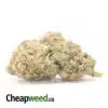 Jedi Kush Bulk Special