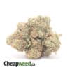 MK Ultra - *Deal Of The Day*