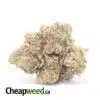 MK Ultra - *Deal Of The Day*