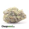 Mystic Punch - *Deal of the Day*