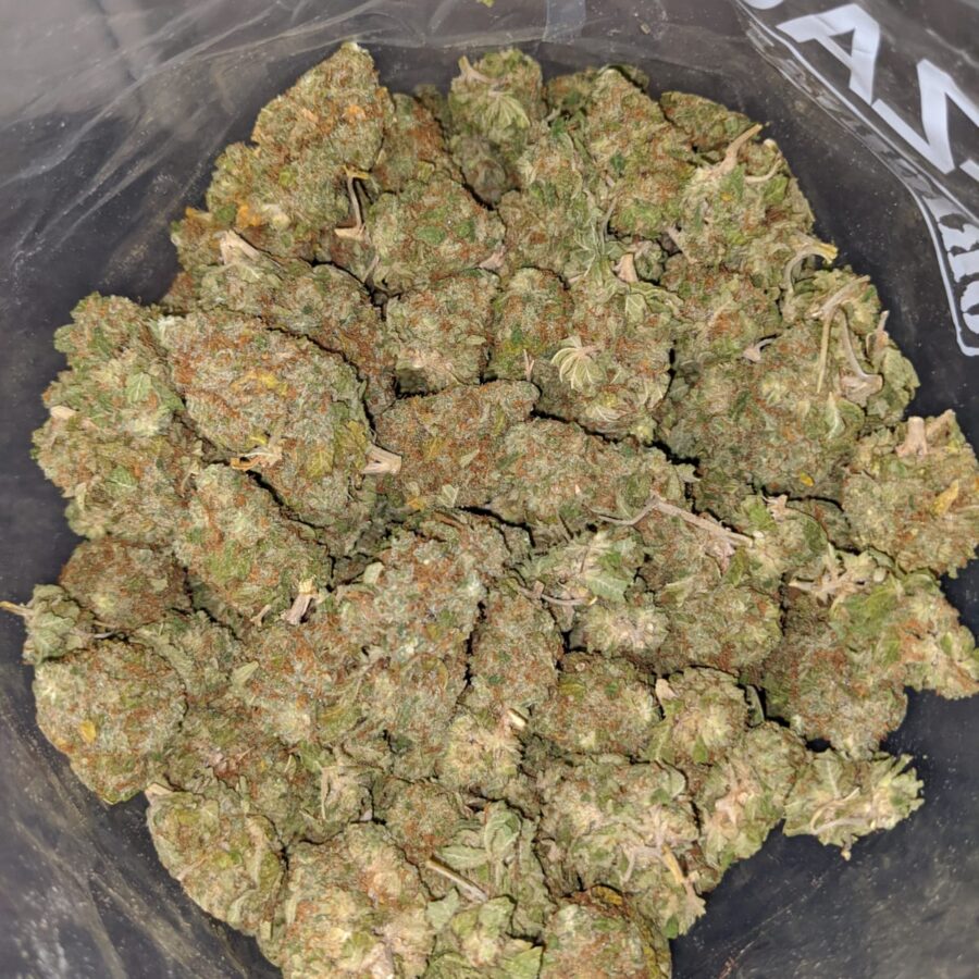 Red Congo Bulk Special