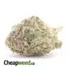 Purple Widow - *Deal Of The Day*