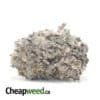 Purple Arrow - *Deal of the Day*