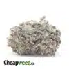 Purple Arrow - *Deal of the Day*