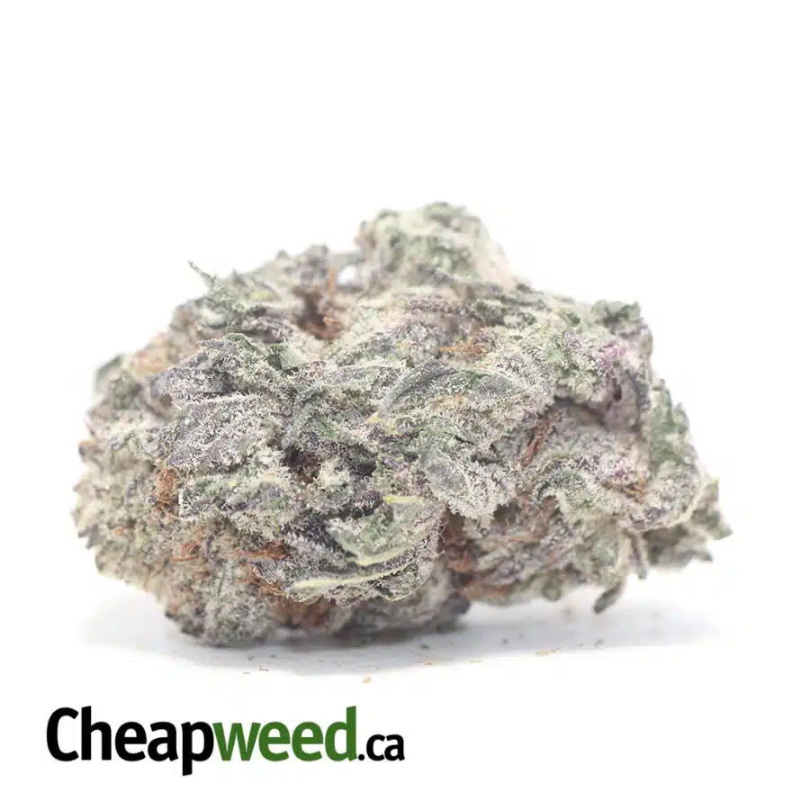 Purple Diamond