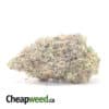 Purple Magic Bulk Special