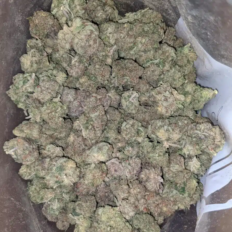 Purple wreck 1 I Purple Wreck