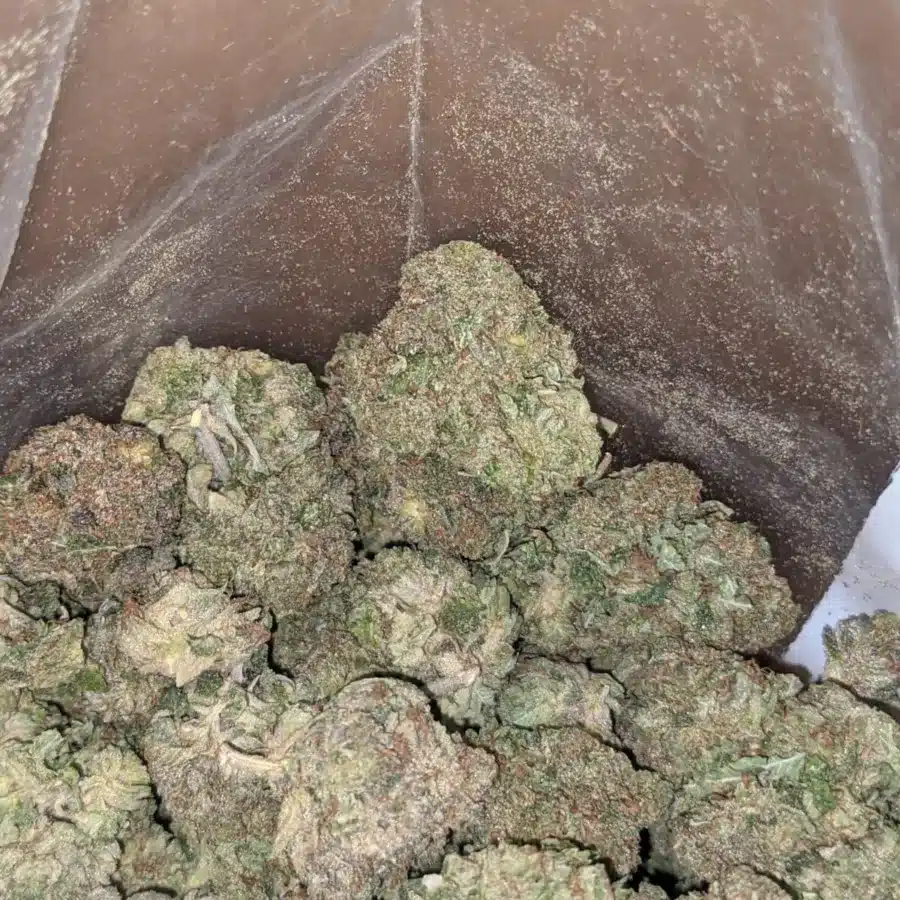 Purple wreck 3 I Purple Wreck