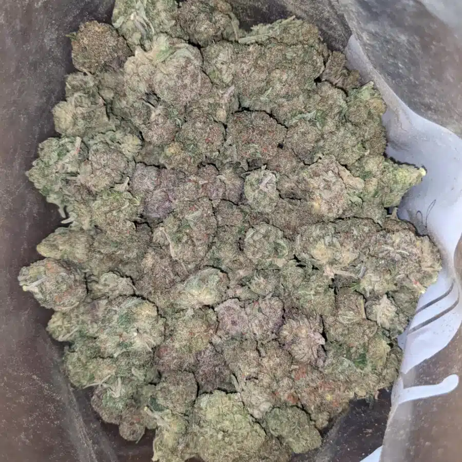 Purple wreck 4 I Purple Wreck